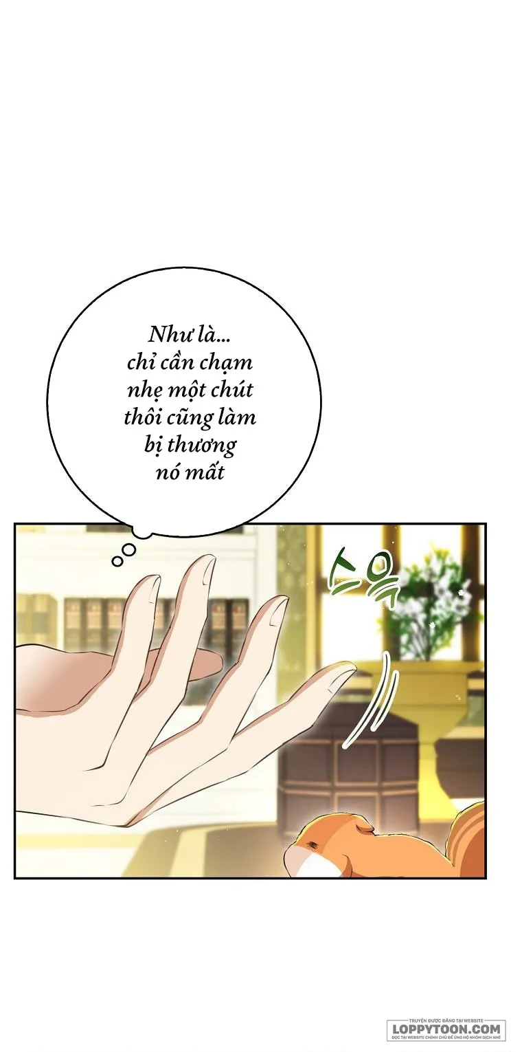 Sóc Con Tài Năng - Chap 43 - Trang 29