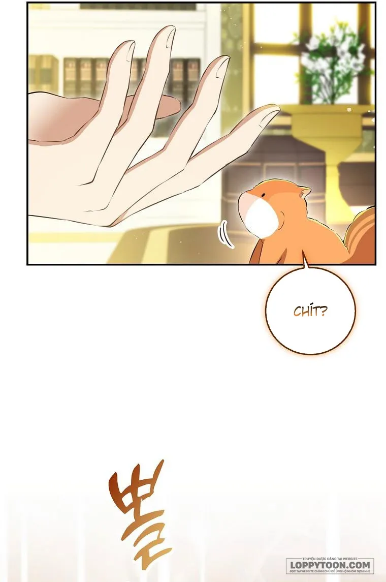Sóc Con Tài Năng - Chap 43 - Trang 30