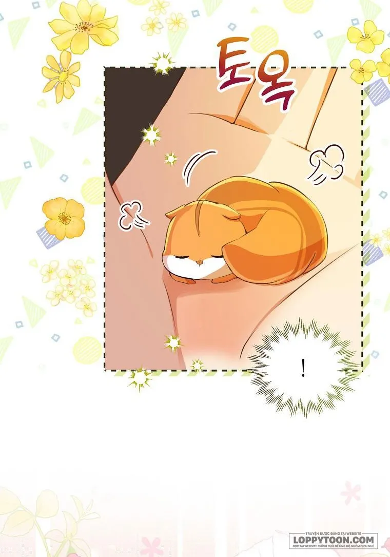 Sóc Con Tài Năng - Chap 43 - Trang 35