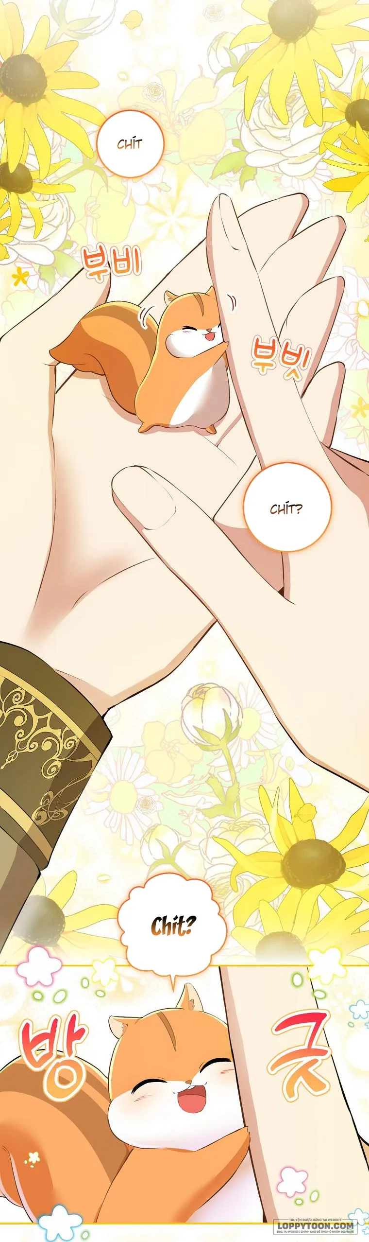 Sóc Con Tài Năng - Chap 43 - Trang 40