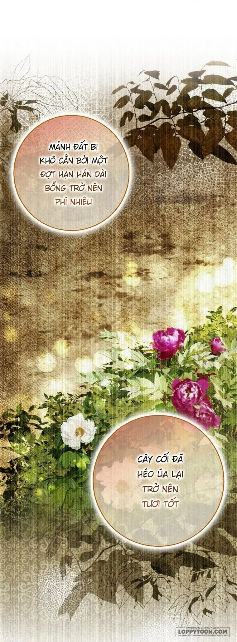 Sóc Con Tài Năng - Chap 45 - Trang 3