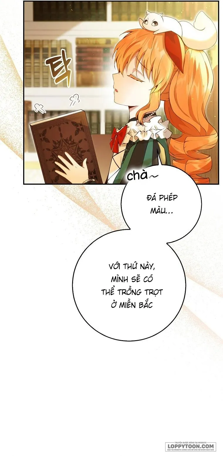 Sóc Con Tài Năng - Chap 45 - Trang 5