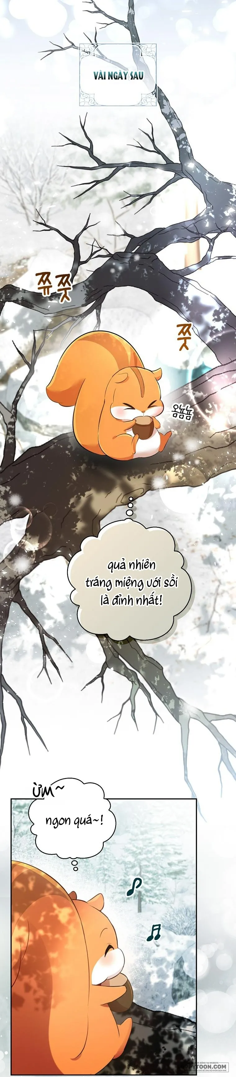 Sóc Con Tài Năng - Chap 48 - Trang 35