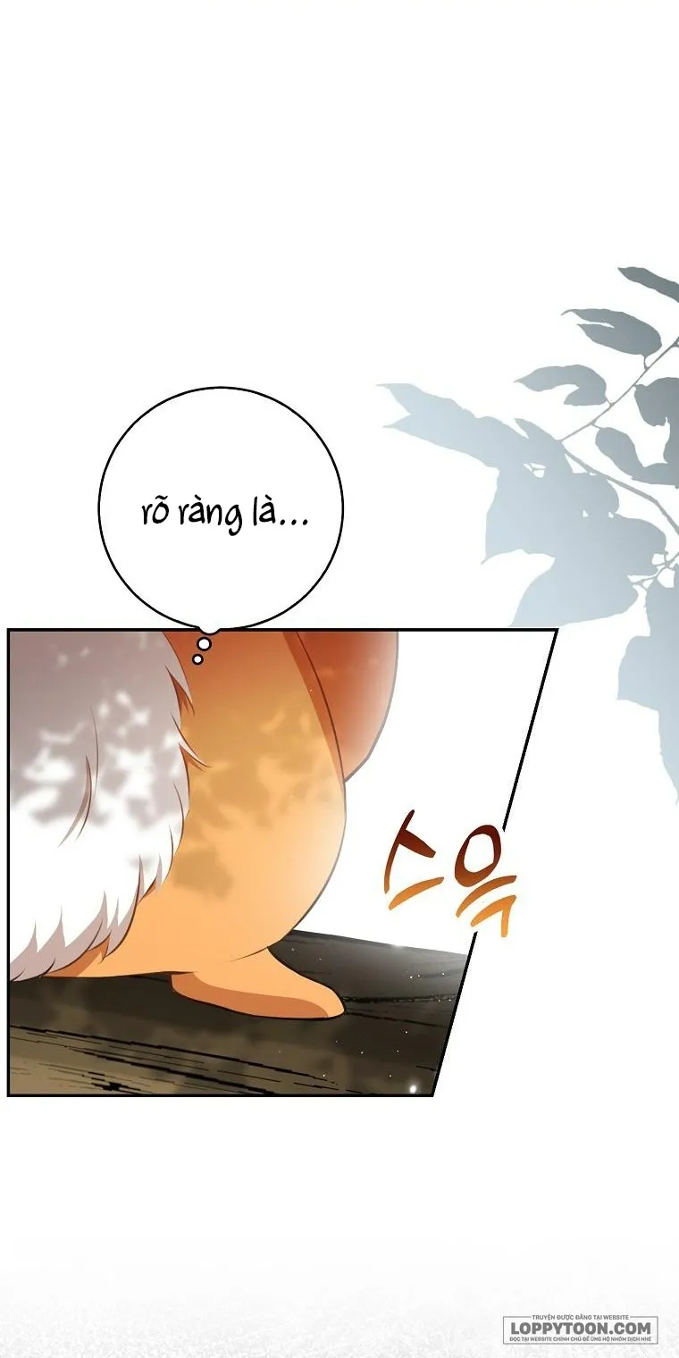 Sóc Con Tài Năng - Chap 48 - Trang 54