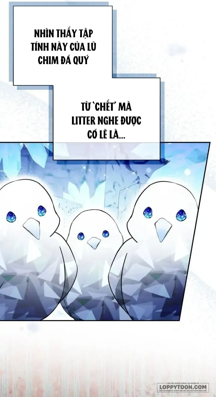 Sóc Con Tài Năng - Chap 50 - Trang 24