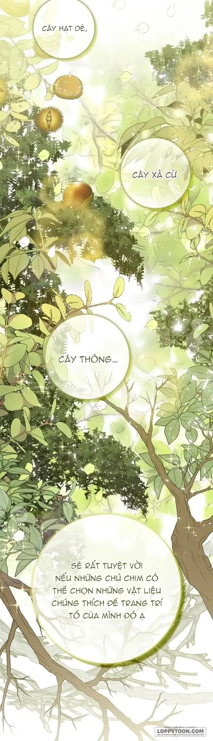 Sóc Con Tài Năng - Chap 51 - Trang 21