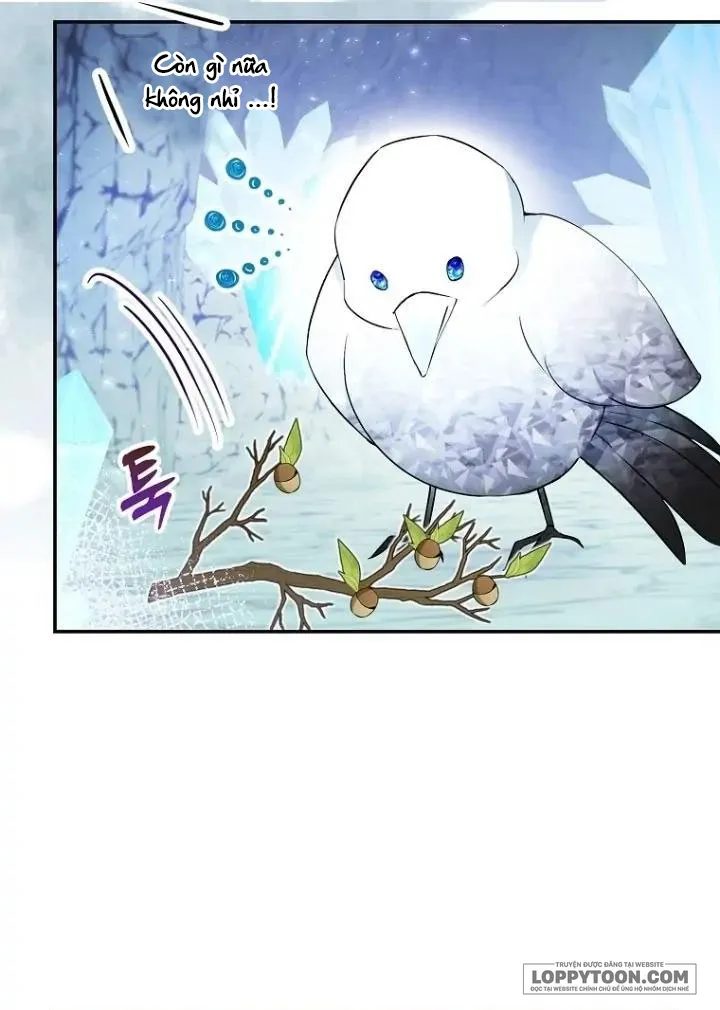 Sóc Con Tài Năng - Chap 51 - Trang 4