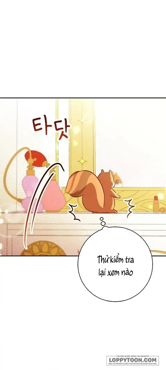 Sóc Con Tài Năng - Chap 52 - Trang 20