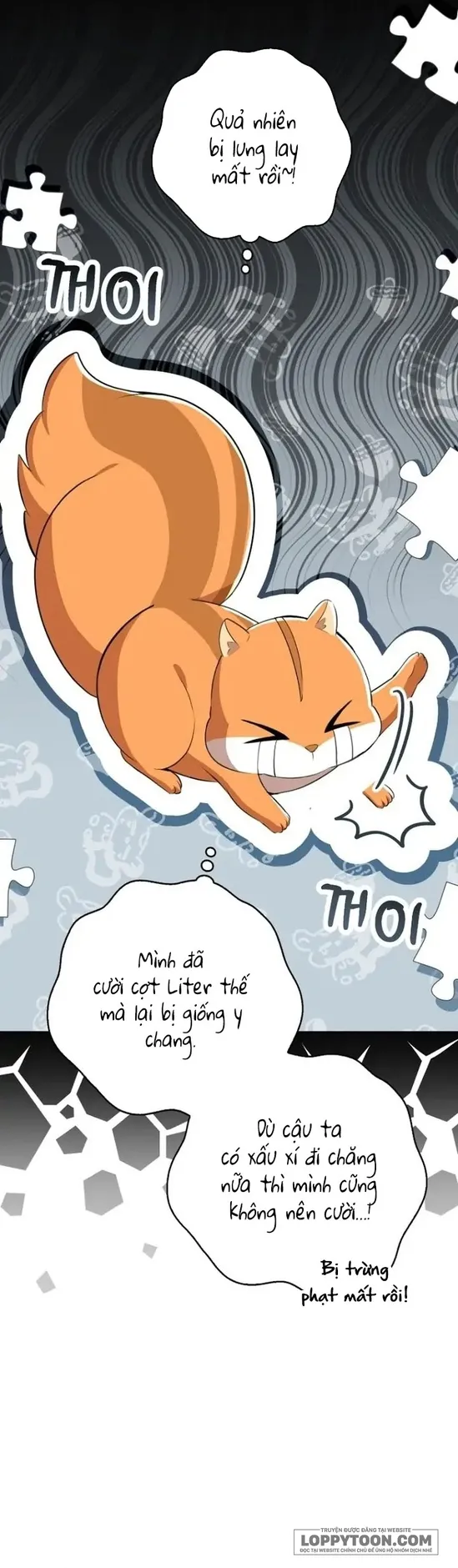 Sóc Con Tài Năng - Chap 52 - Trang 23