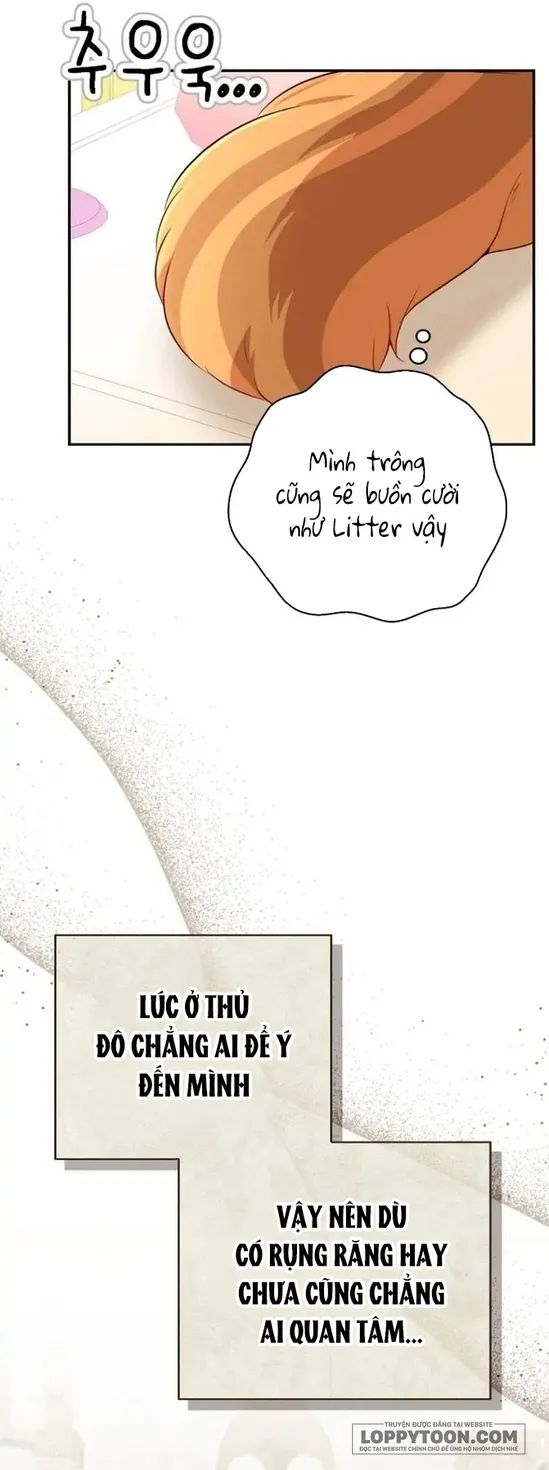 Sóc Con Tài Năng - Chap 52 - Trang 24