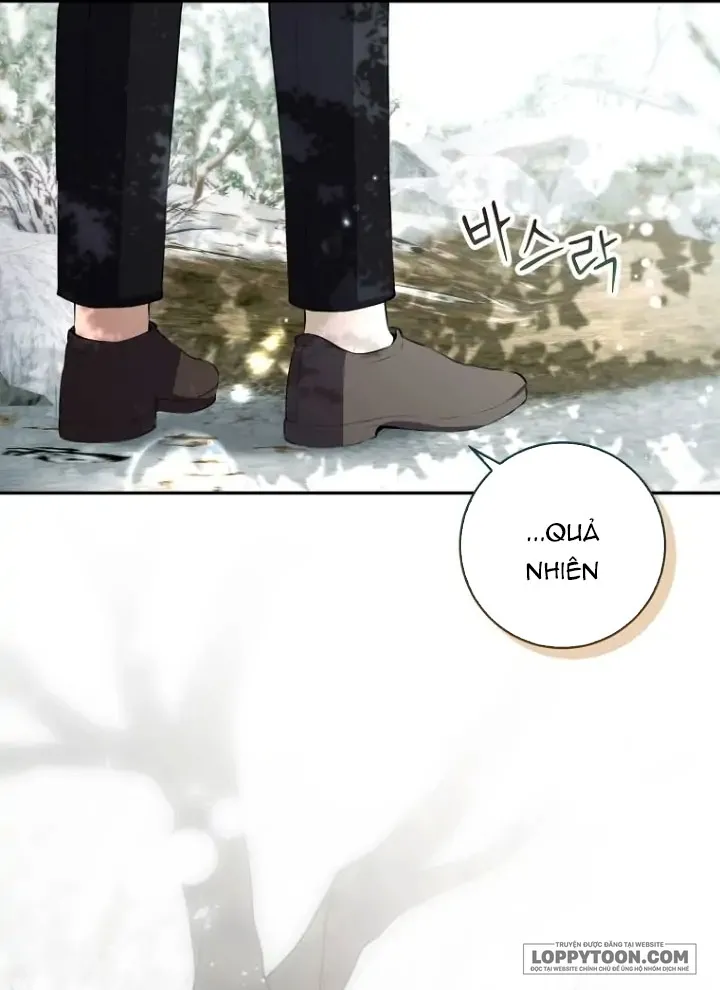 Sóc Con Tài Năng - Chap 53 - Trang 34