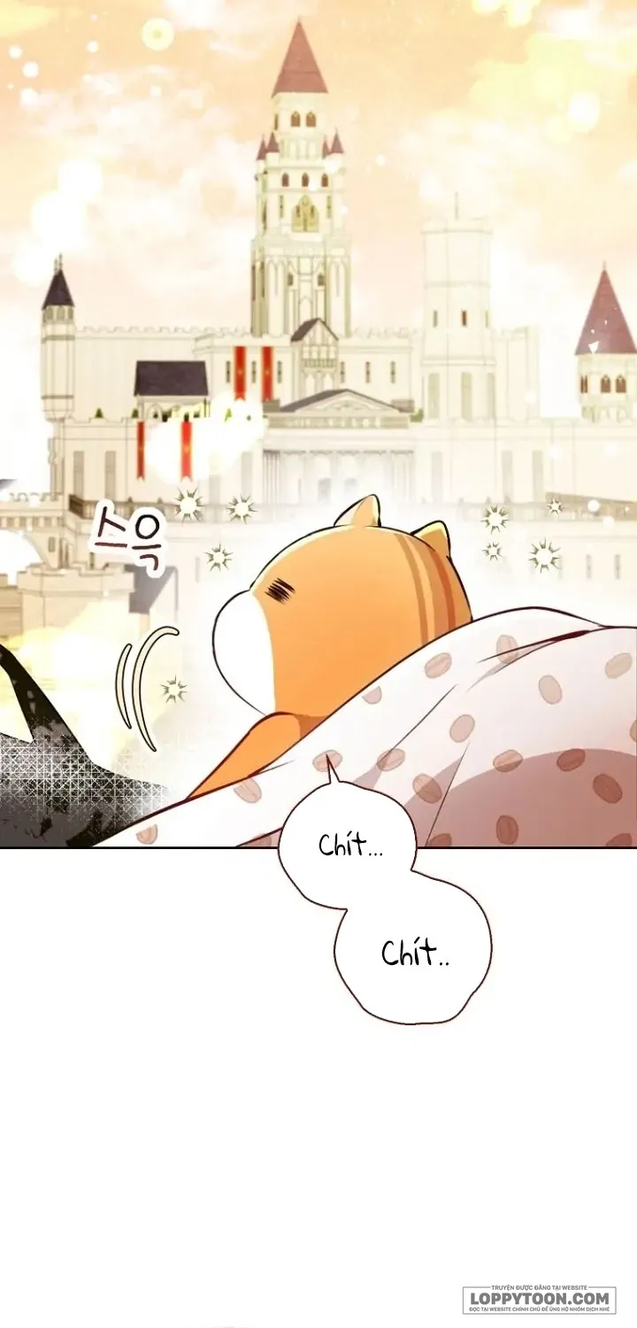 Sóc Con Tài Năng - Chap 53 - Trang 46