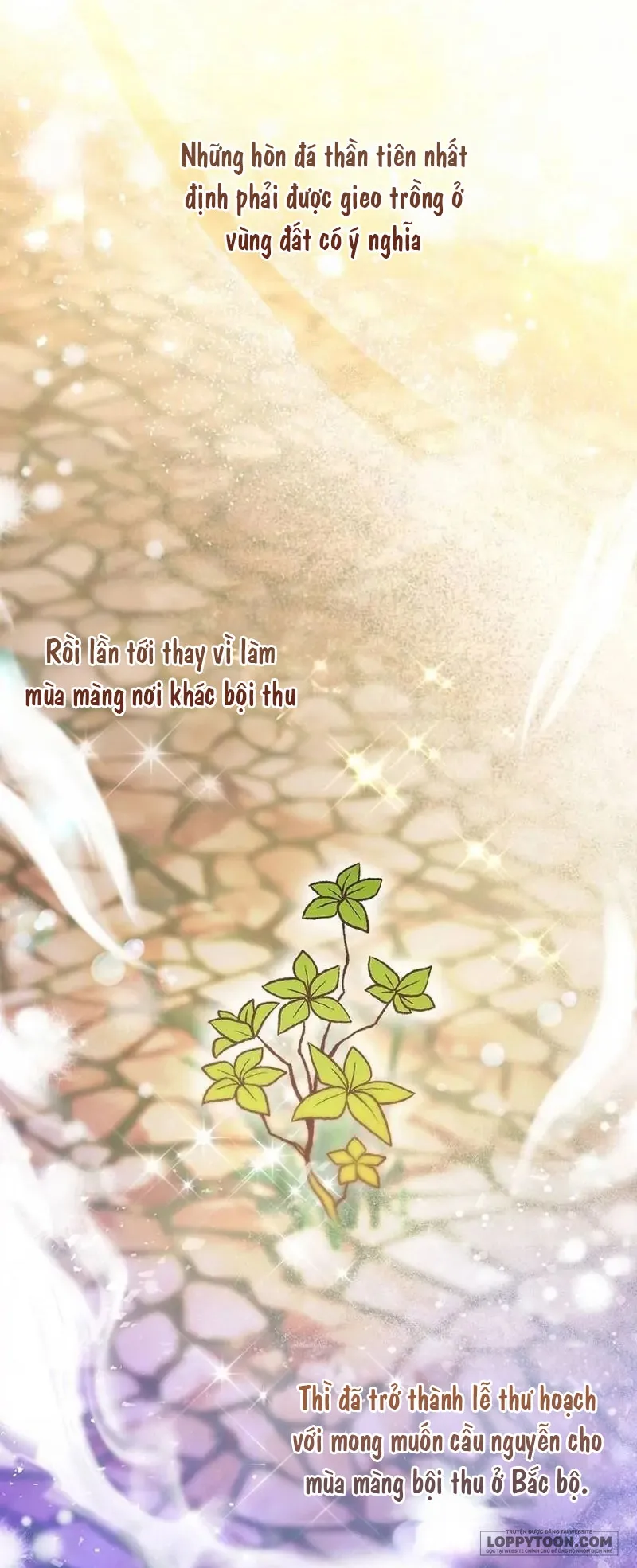 Sóc Con Tài Năng - Chap 54 - Trang 25