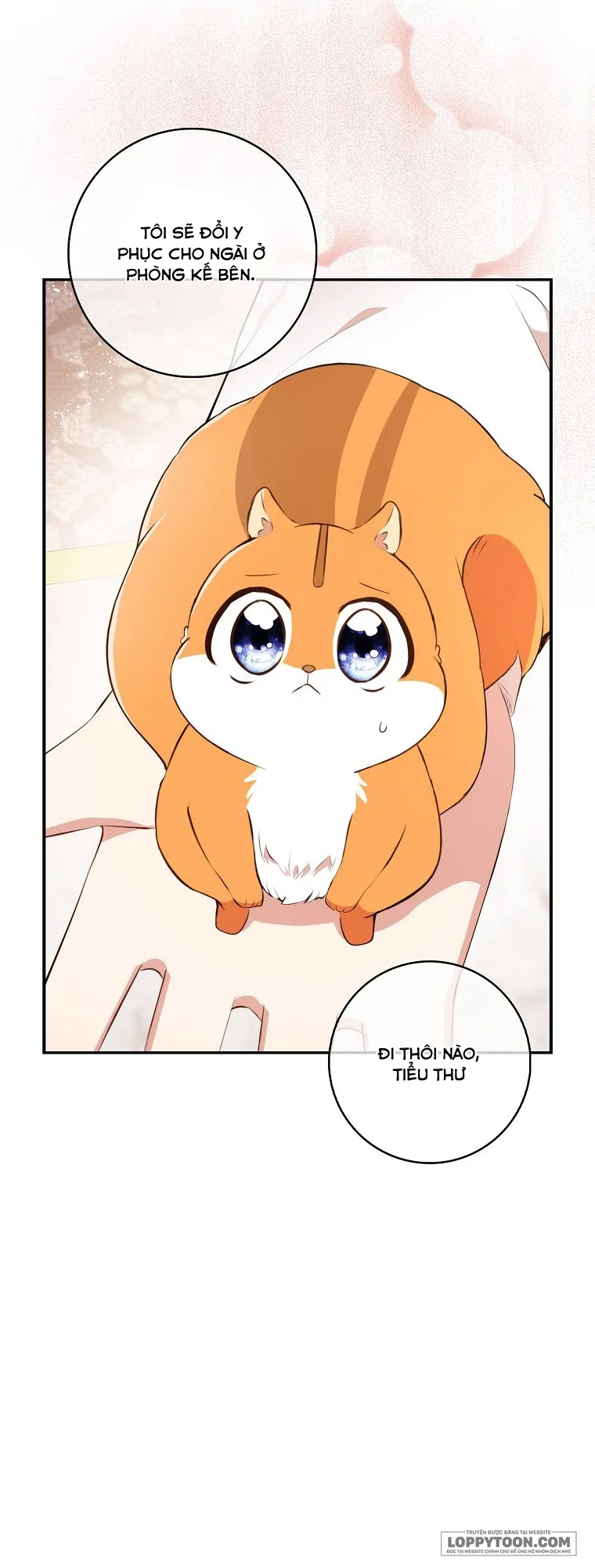 Sóc Con Tài Năng - Chap 6 - Trang 11