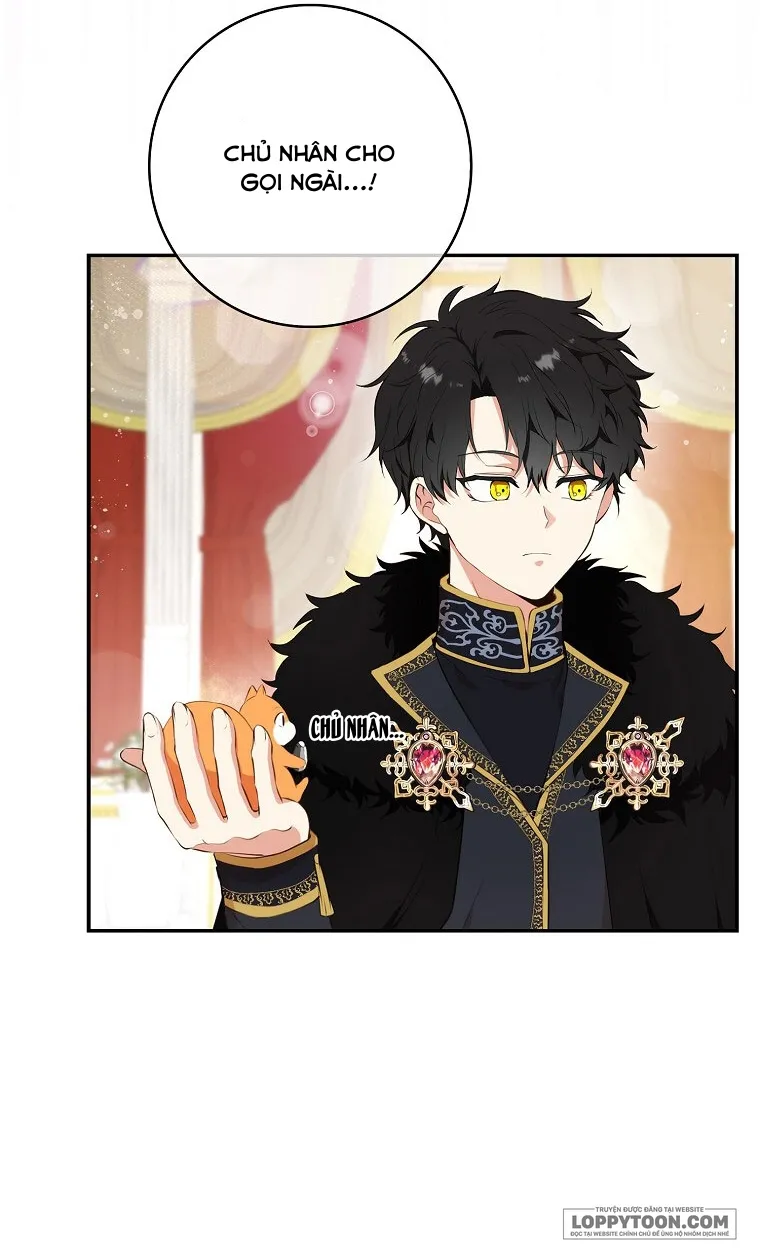 Sóc Con Tài Năng - Chap 6 - Trang 5