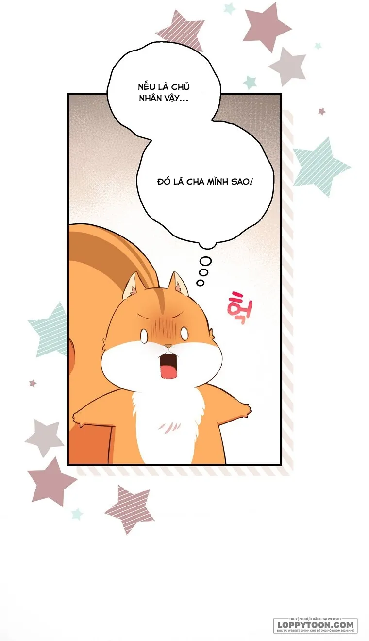 Sóc Con Tài Năng - Chap 6 - Trang 6