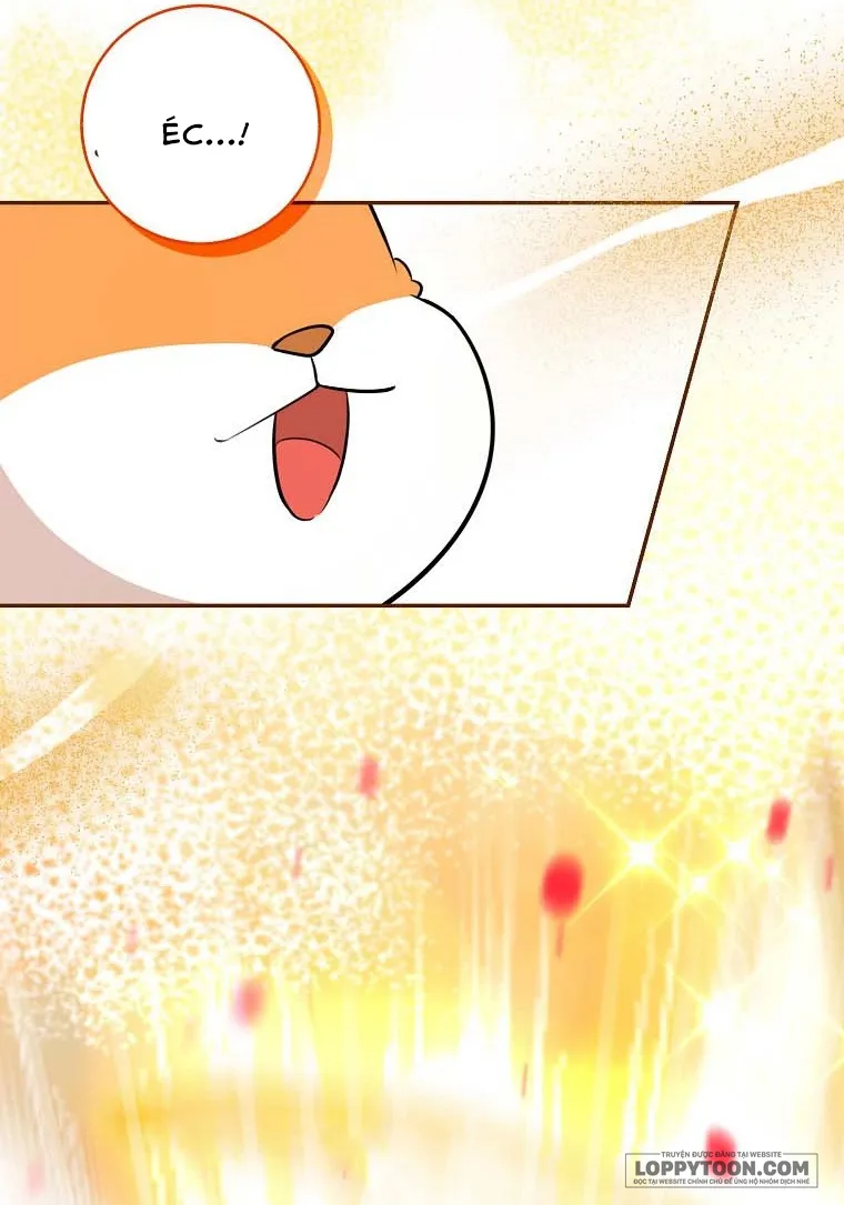 Sóc Con Tài Năng - Chap 62 - Trang 25