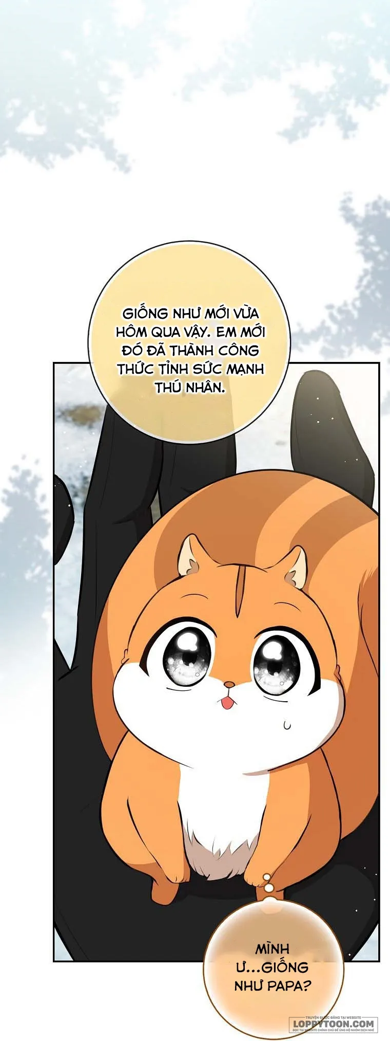 Sóc Con Tài Năng - Chap 62 - Trang 33