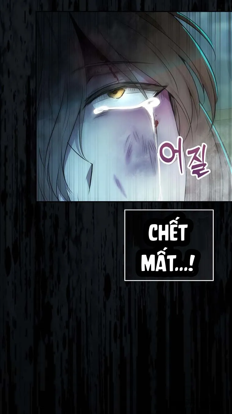 Sóc Con Tài Năng - Chap 65 - Trang 46