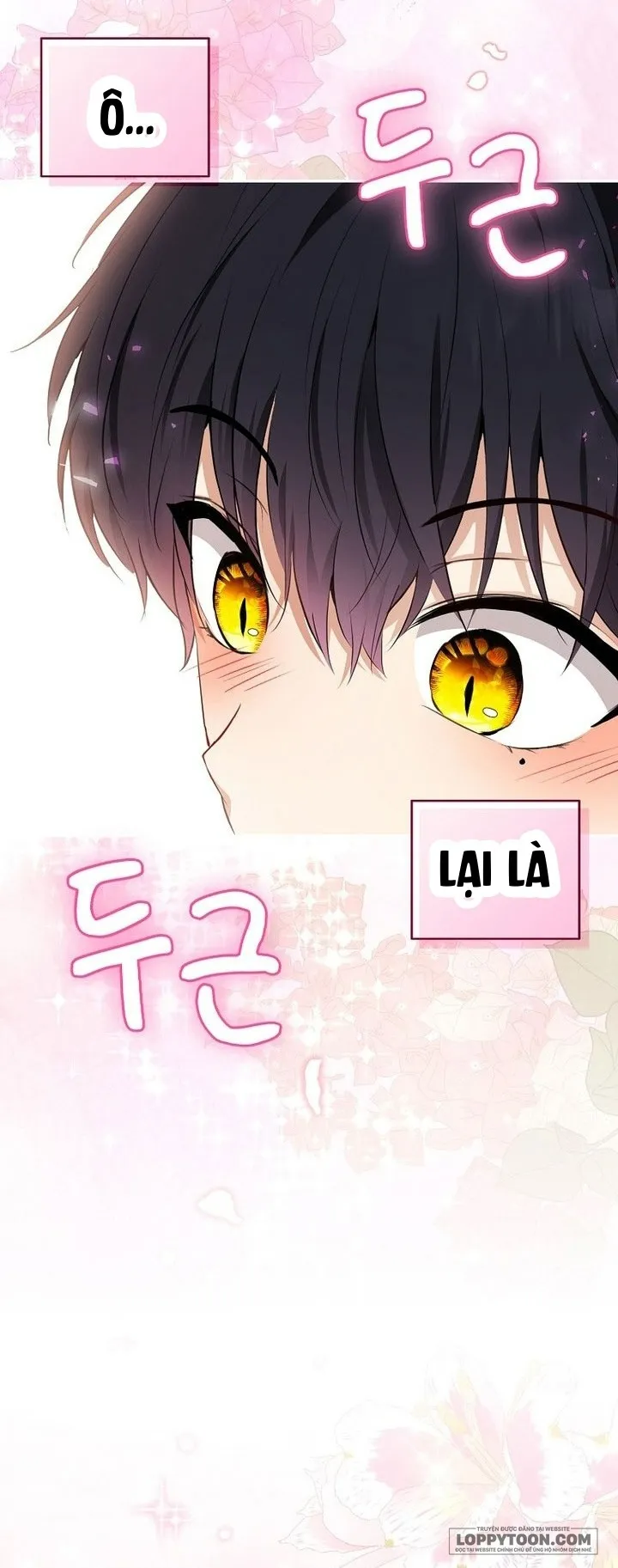 Sóc Con Tài Năng - Chap 68 - Trang 42