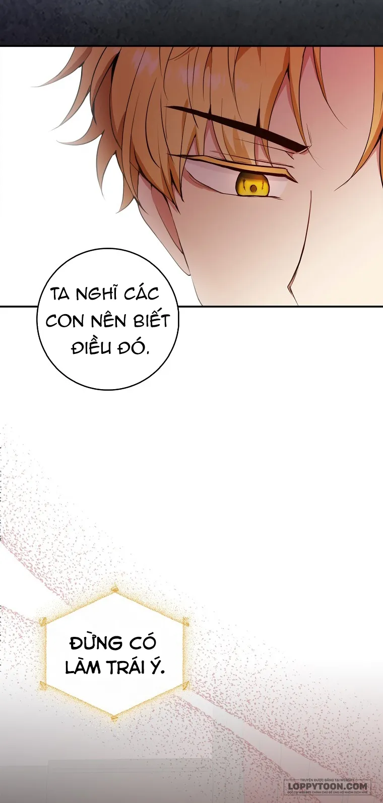 Sóc Con Tài Năng - Chap 7 - Trang 32