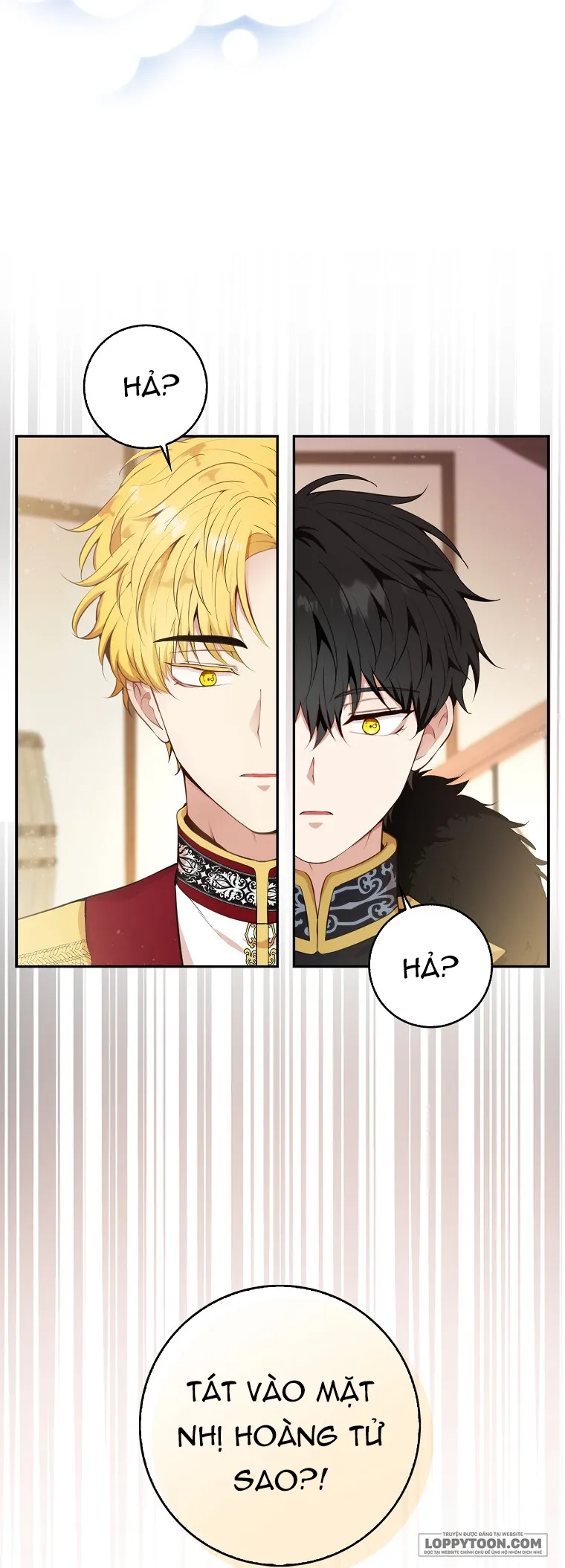 Sóc Con Tài Năng - Chap 7 - Trang 7
