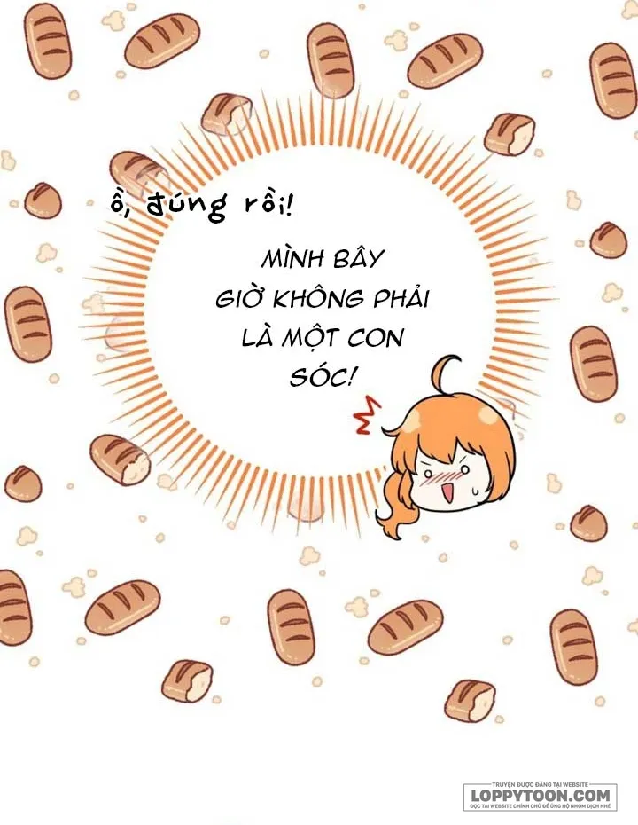 Sóc Con Tài Năng - Chap 72 - Trang 24