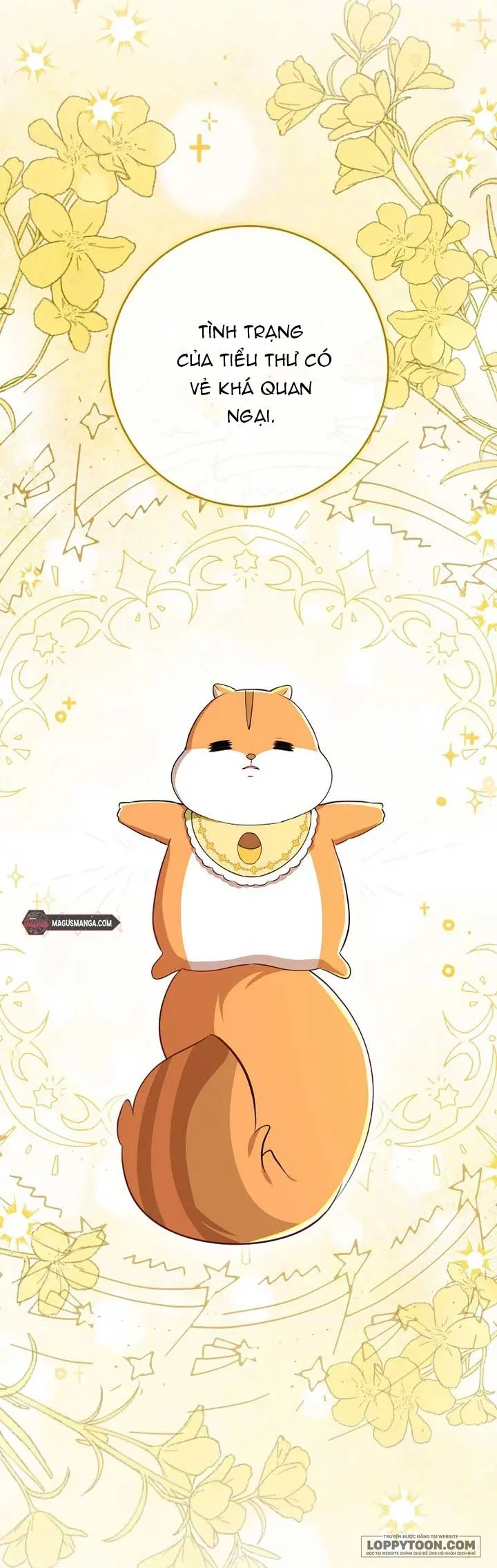 Sóc Con Tài Năng - Chap 73 - Trang 14
