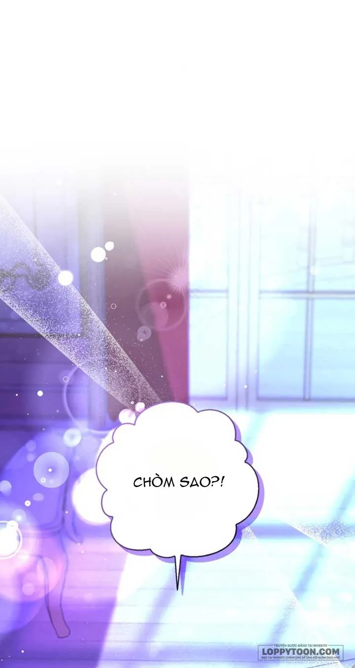Sóc Con Tài Năng - Chap 74 - Trang 1