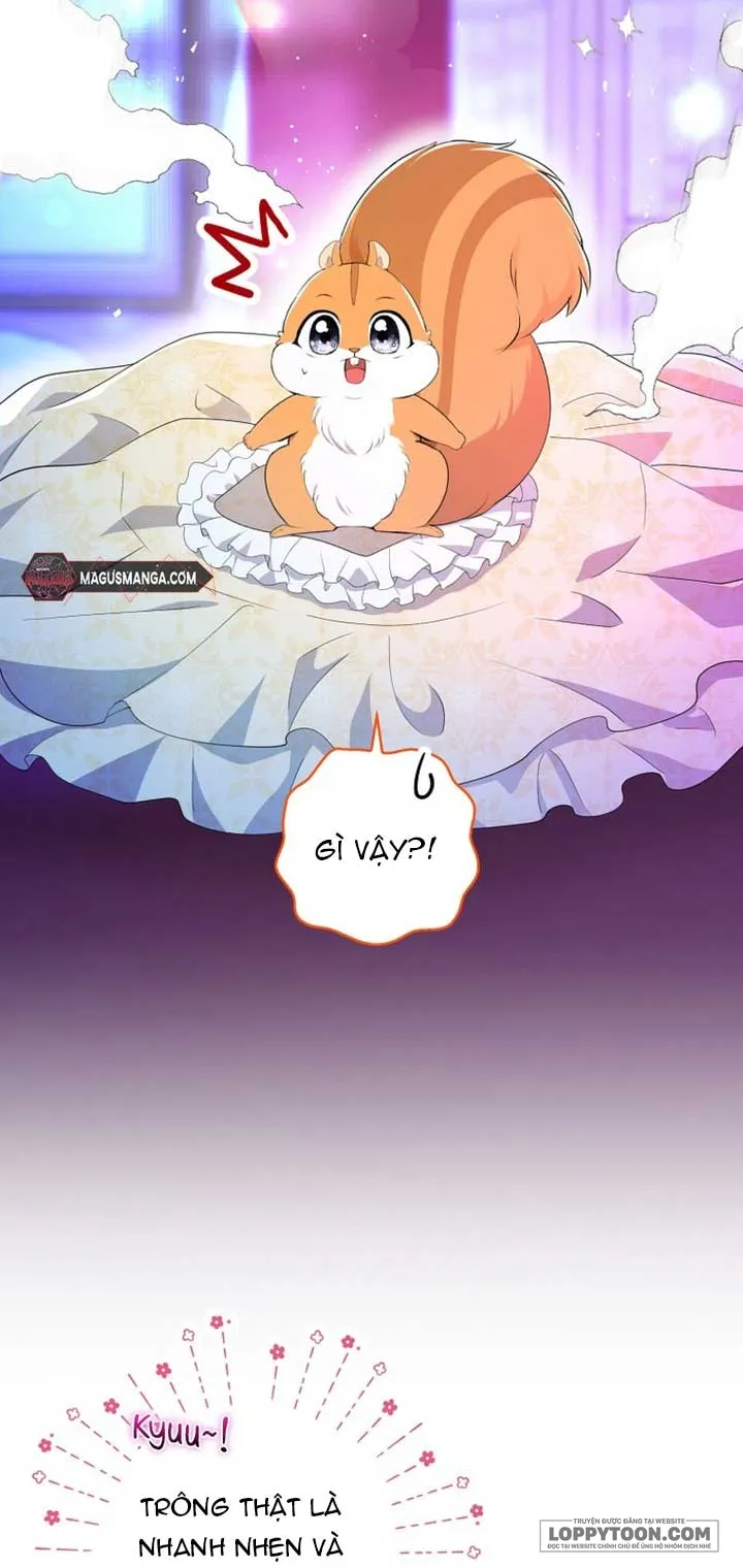 Sóc Con Tài Năng - Chap 74 - Trang 15