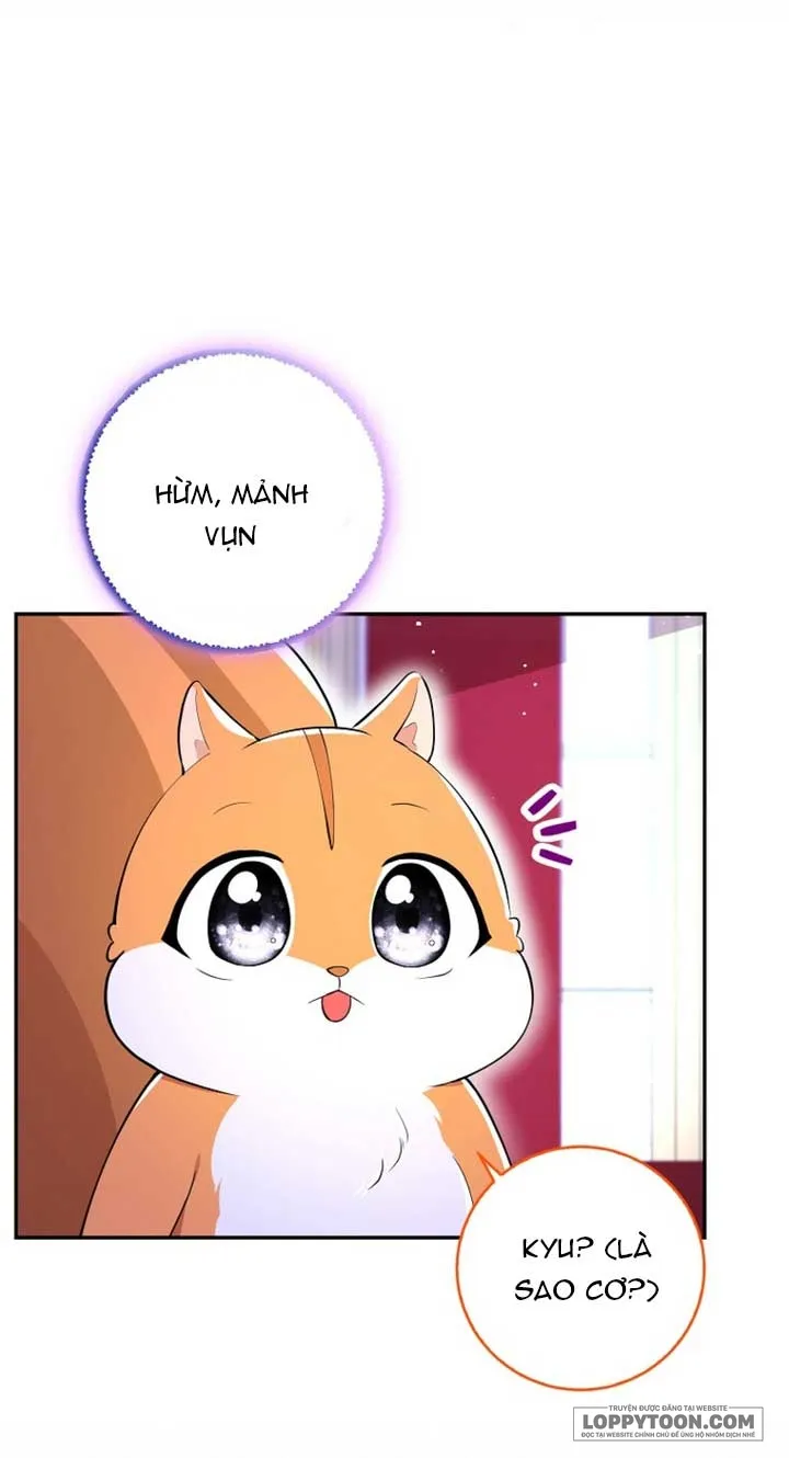Sóc Con Tài Năng - Chap 74 - Trang 17