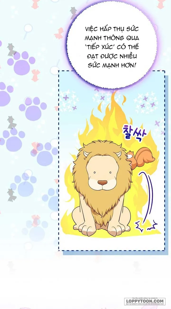 Sóc Con Tài Năng - Chap 75 - Trang 19