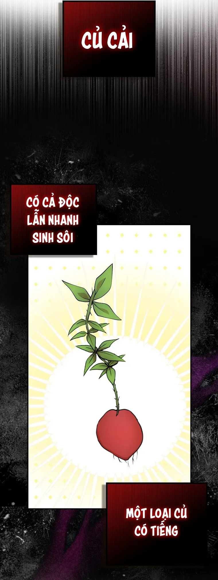 Sóc Con Tài Năng - Chap 8 - Trang 39