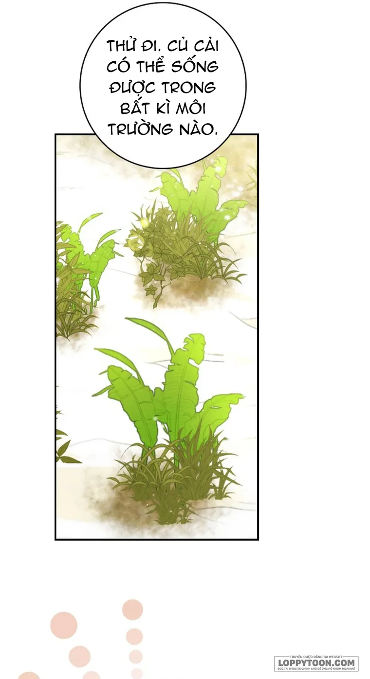 Sóc Con Tài Năng - Chap 8 - Trang 48
