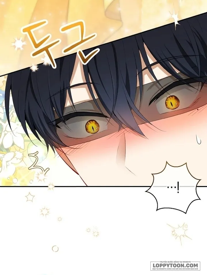 Sóc Con Tài Năng - Chap 84 - Trang 4