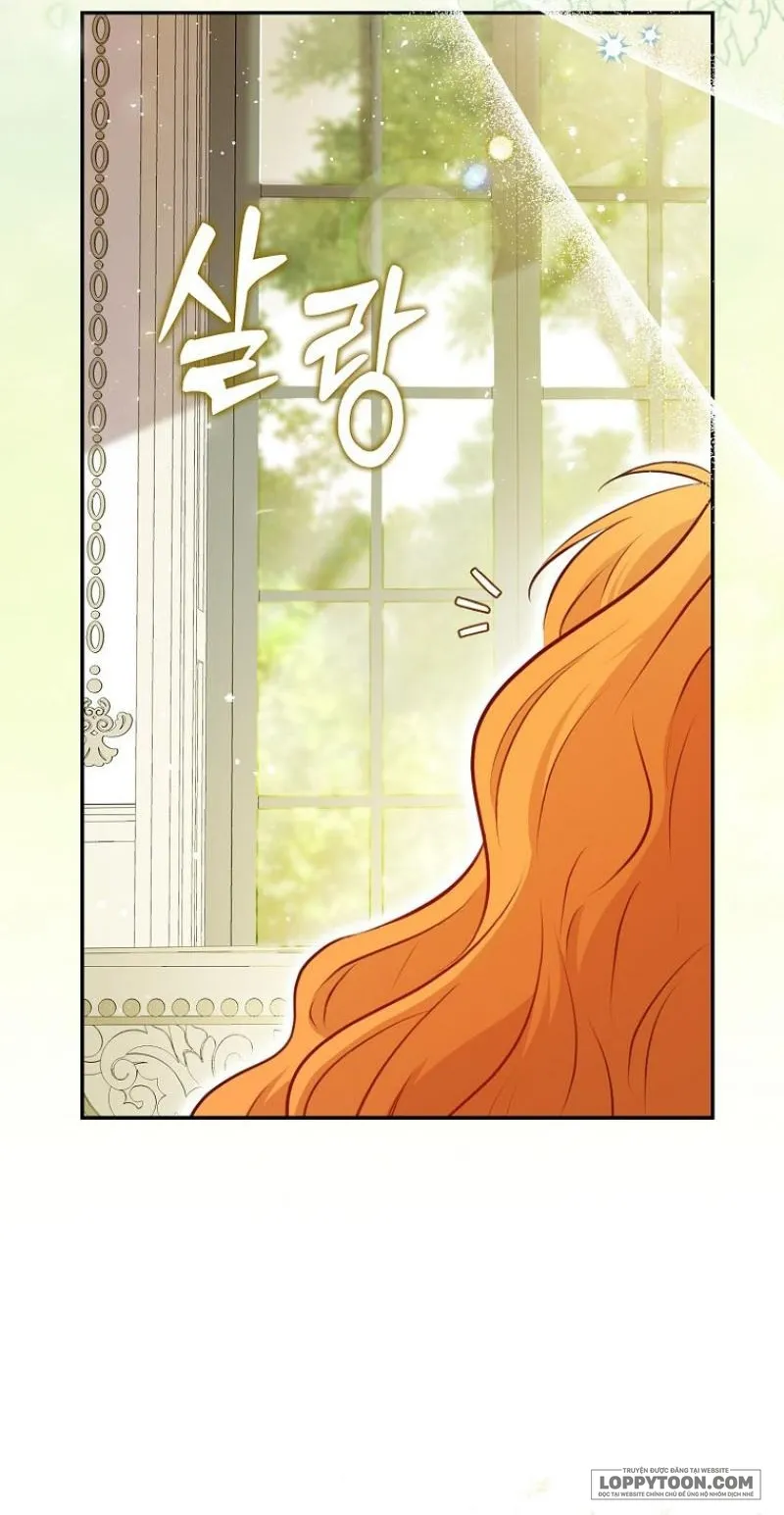 Sóc Con Tài Năng - Chap 90 - Trang 33