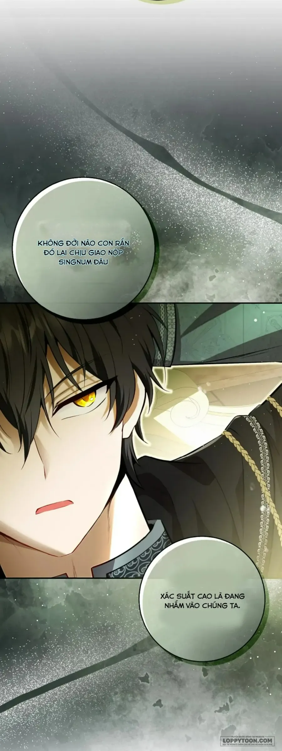 Sóc Con Tài Năng - Chap 92 - Trang 31