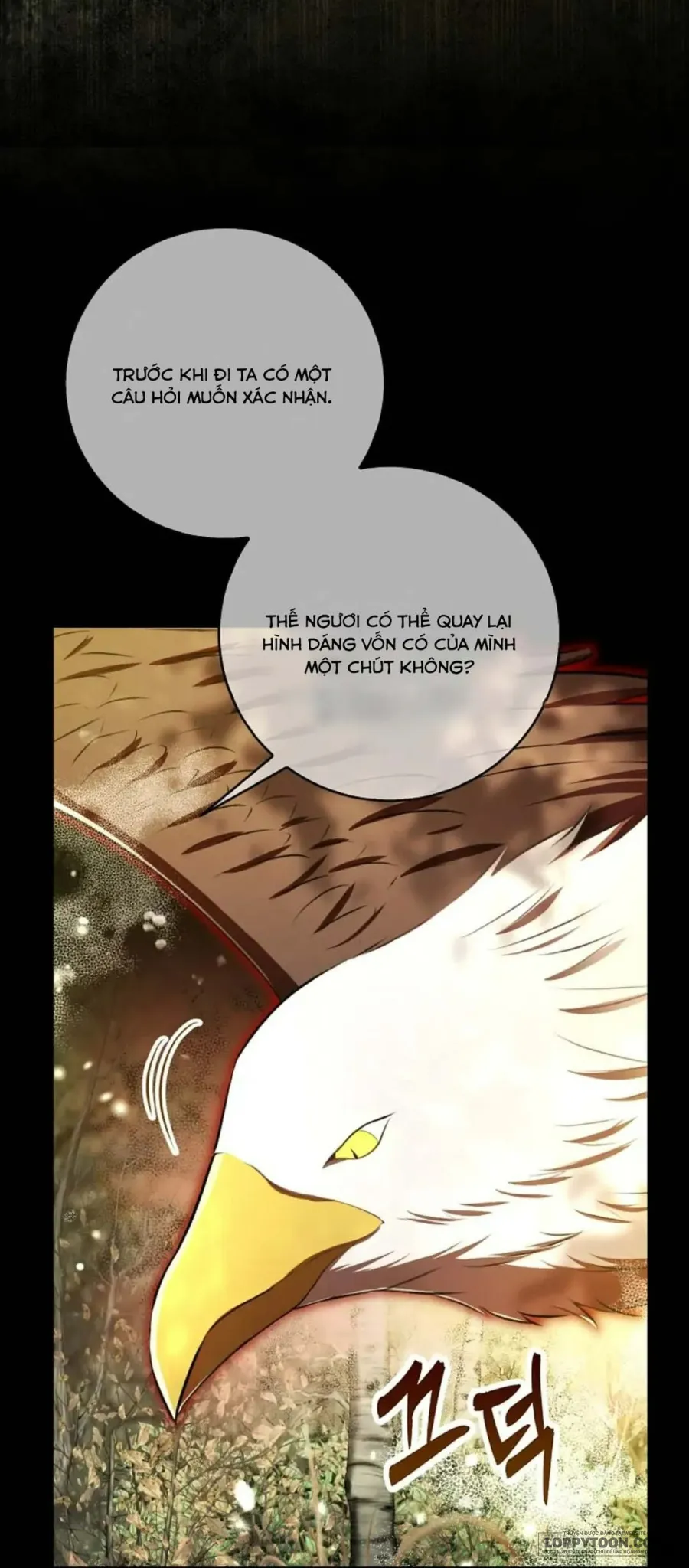 Sóc Con Tài Năng - Chap 96 - Trang 47