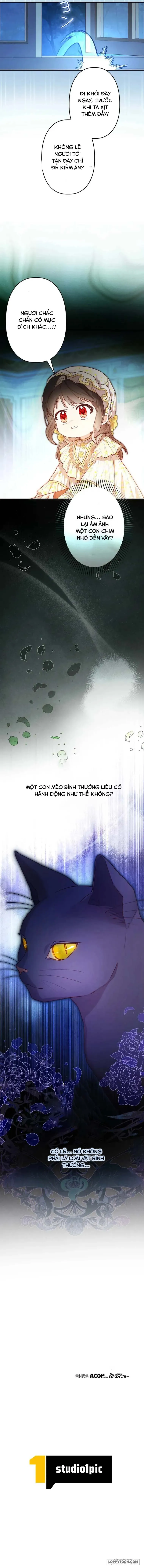 Sống Sót Như Nàng Công Chúa Song Sinh - Chap 7 - Trang 9