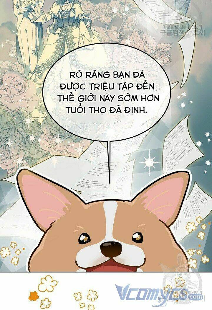 Sự Điều Trị Đặc Biệt Của Tinh Linh - Chap 1 - Trang 31