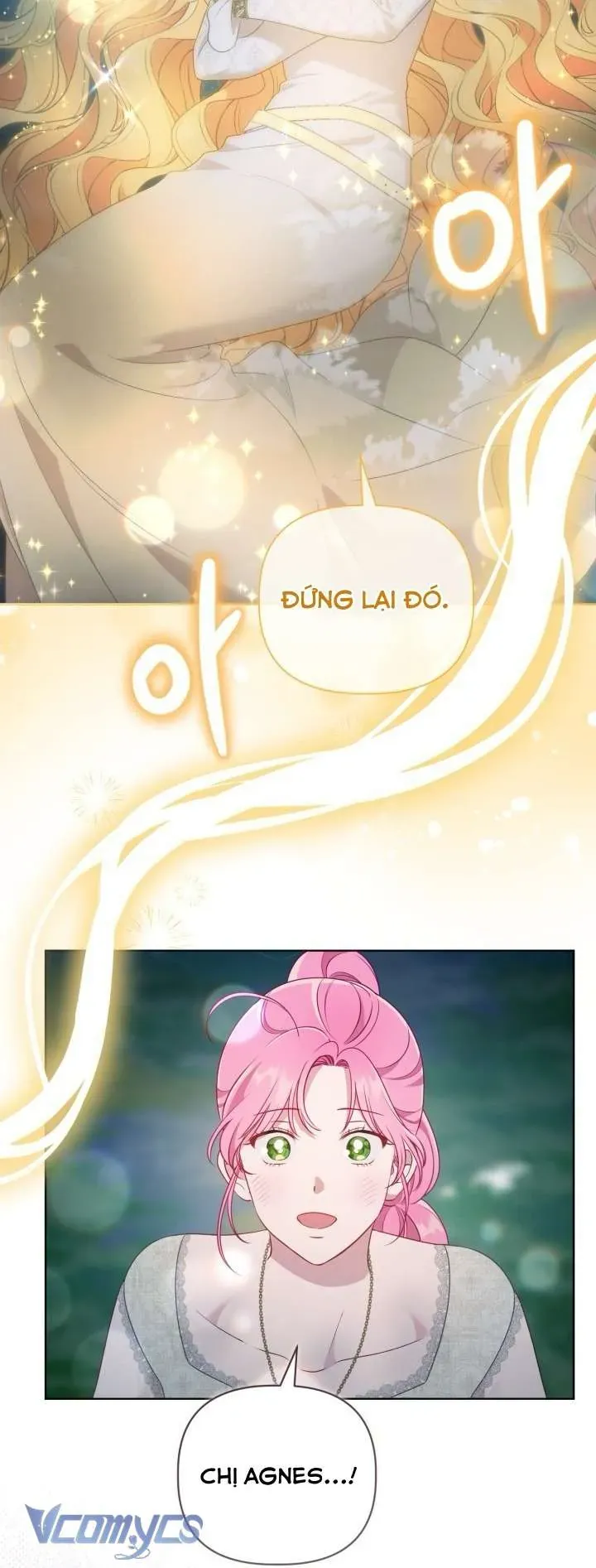 Sự Điều Trị Đặc Biệt Của Tinh Linh - Chap 112 - Trang 8