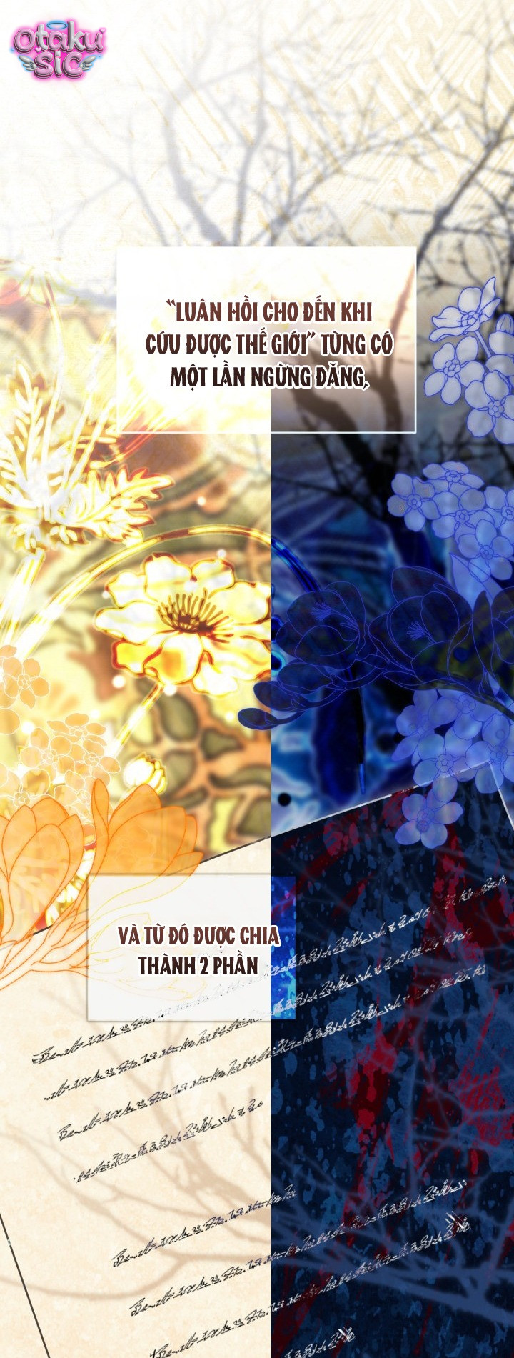 Sự Điều Trị Đặc Biệt Của Tinh Linh - Chap 122 - Trang 39