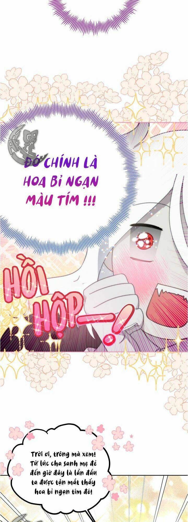 Sự Điều Trị Đặc Biệt Của Tinh Linh - Chap 27 - Trang 16