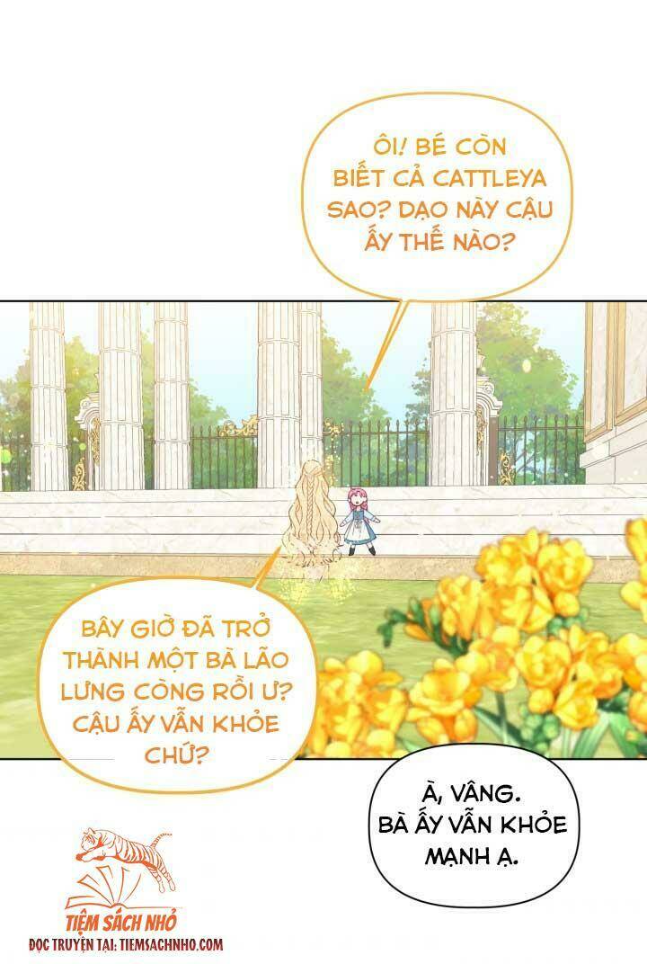 Sự Điều Trị Đặc Biệt Của Tinh Linh - Chap 32 - Trang 8