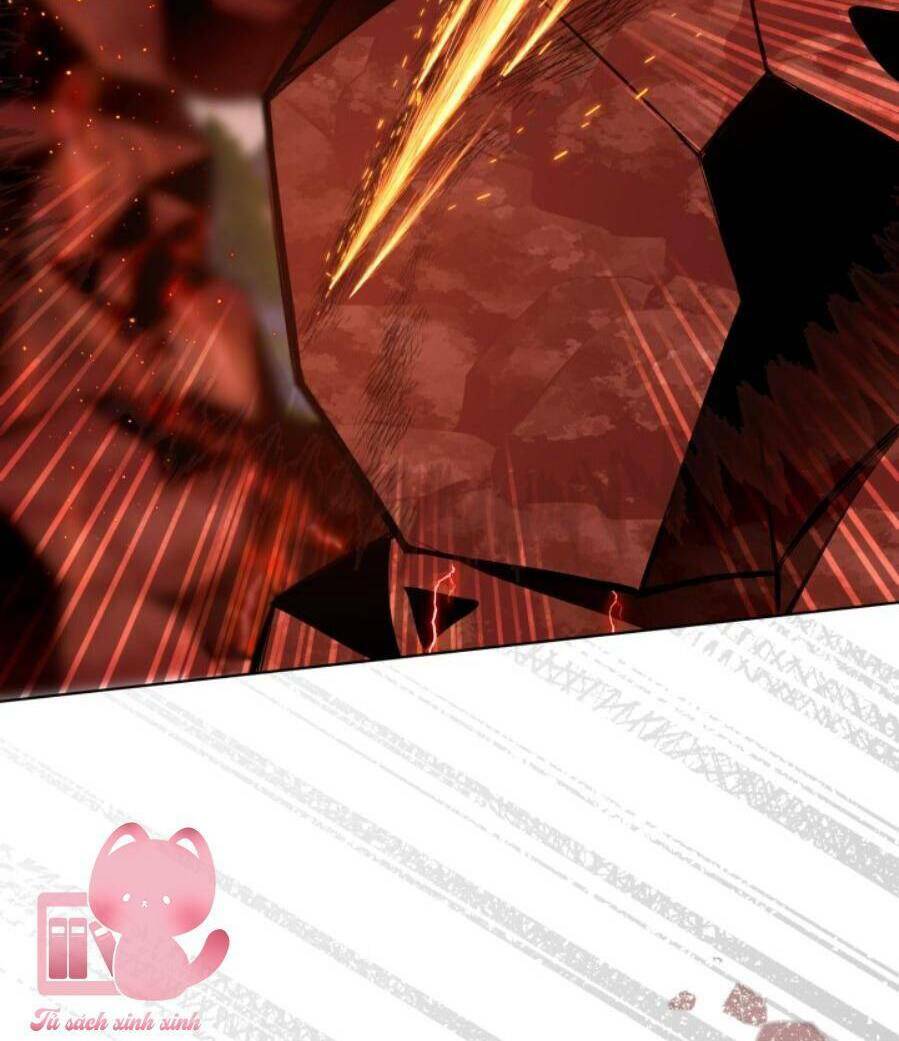 Sự Điều Trị Đặc Biệt Của Tinh Linh - Chap 47 - Trang 13