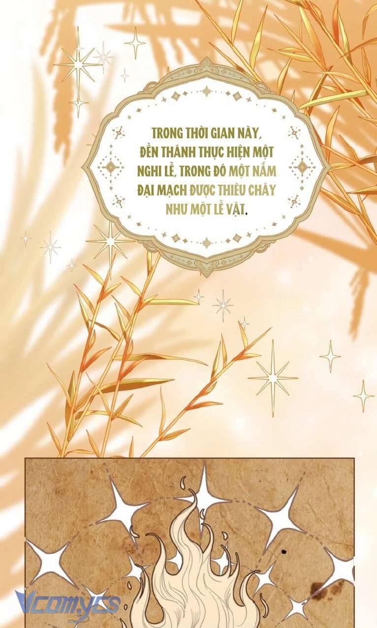 Sự Điều Trị Đặc Biệt Của Tinh Linh - Chap 84 - Trang 46