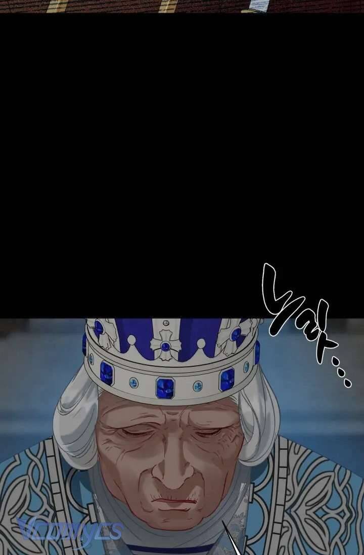Sự Điều Trị Đặc Biệt Của Tinh Linh - Chap 95 - Trang 46