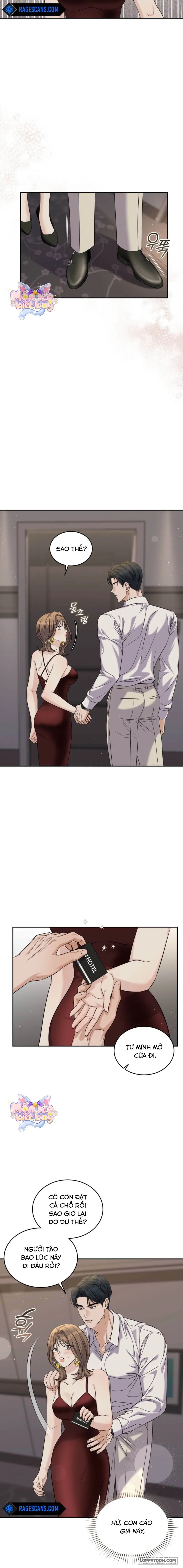 Sự Vắng Mặt của Tình Yêu Lãng Mạn - Chap 5 - Trang 8