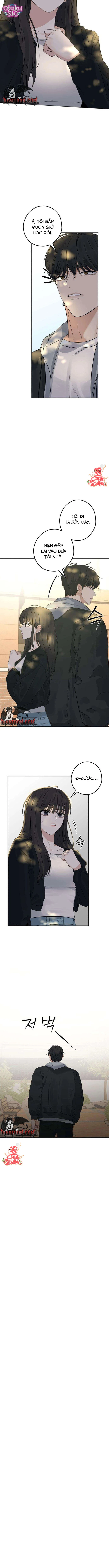 Tên Hàng Xóm "Bất Hảo" - Chap 5 - Trang 11