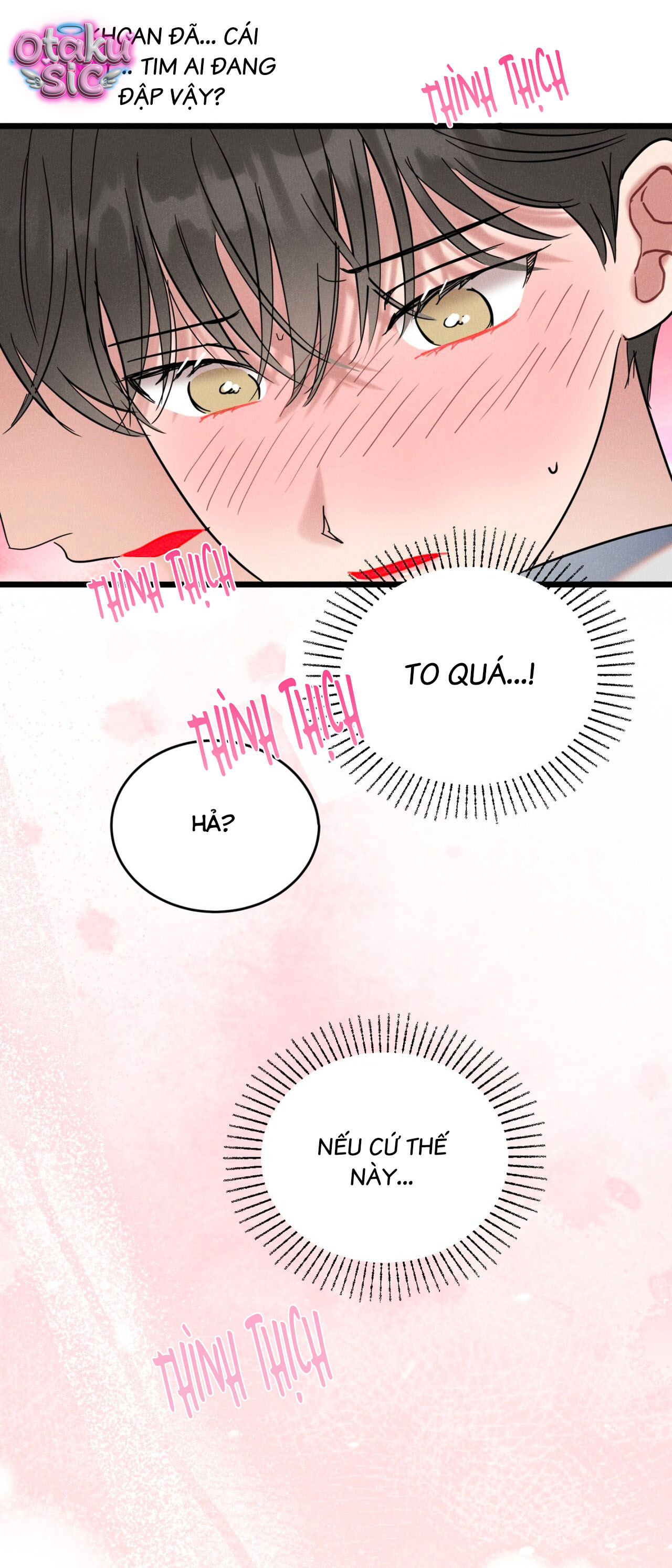 Thần tượng của tôi - Chap 2 - Trang 2